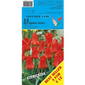 Tulips Red Riding Hood - 12 Bulbs