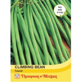 Climbing Bean Fasold