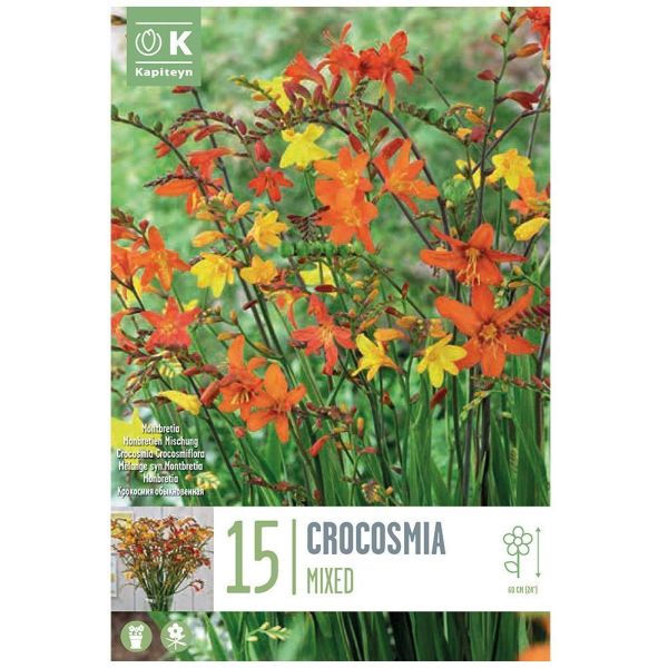 Crocosmia Crocosmiiflora Mixed - 15 Bulbs