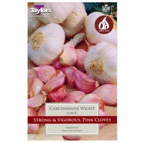 Carcassonne Wight - Garlic Set - 1 Bulb