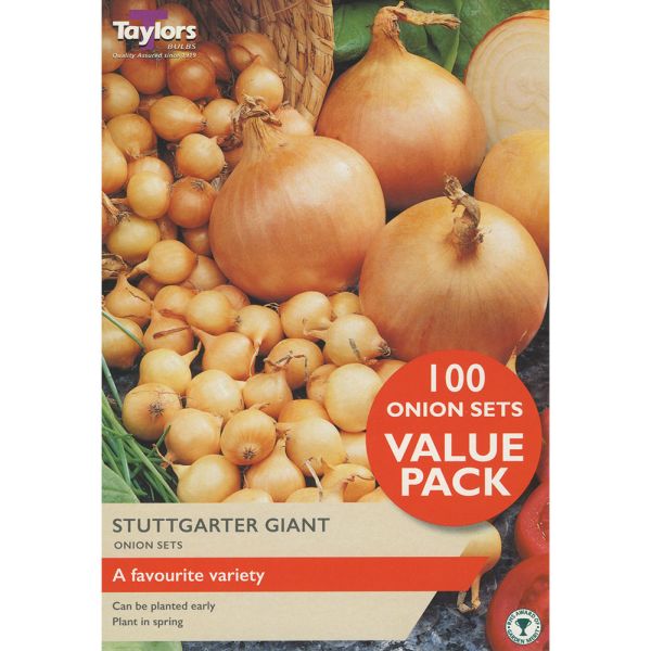 Onion Stuttgarter Giant Set - Pack of 100