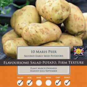 Maris Peer Seed Potatoes - Taster Pack