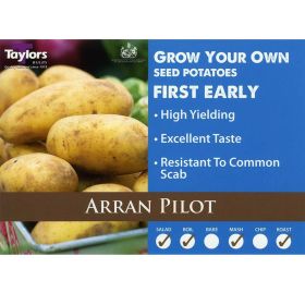 Arran Pilot Seed Potatoes 2kg Bag