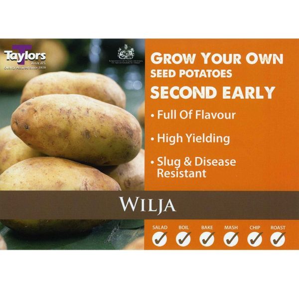 Wilja Seed Potatoes 2kg Bag