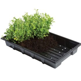 Professional Seed Trays - Pack of 5