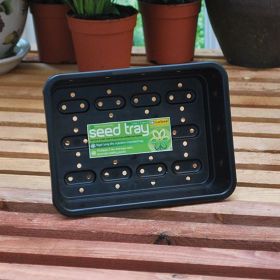Small Seed Tray - Black
