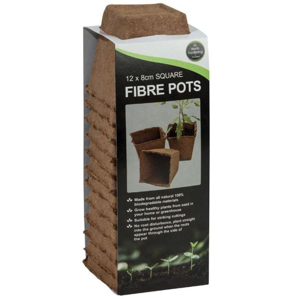 Square Fibre Pots 8cm  - Pack of 12