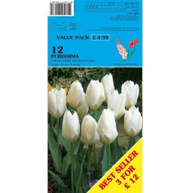 Tulips Purissima - 12 Bulbs
