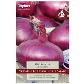 Red Winter - Onion Set - 50 Onions
