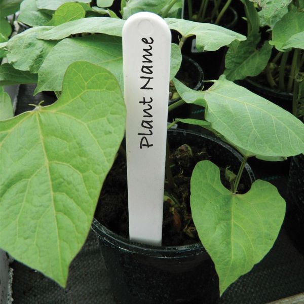 White Plant Labels 10cm - Pack of 50