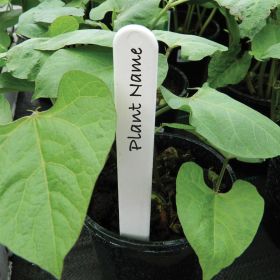 White Plant Labels 13cm - Pack of 50