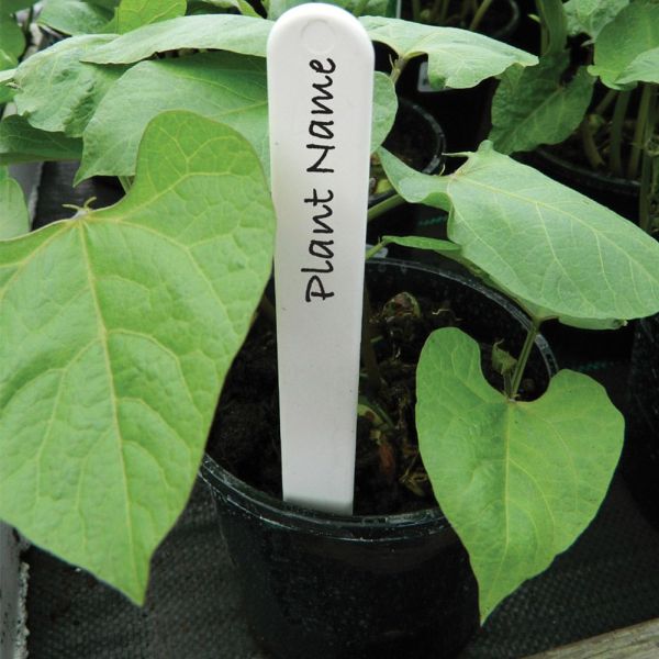White Plant Labels 15cm - Pack of 50