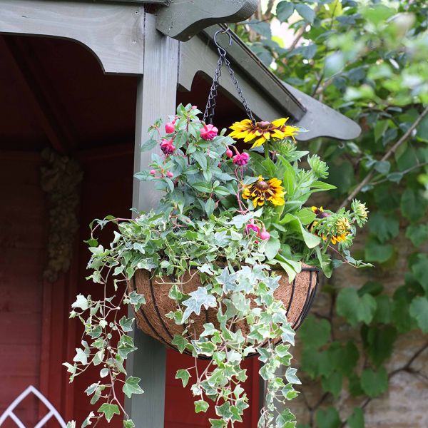 Smart Hanging Basket 16 Inches