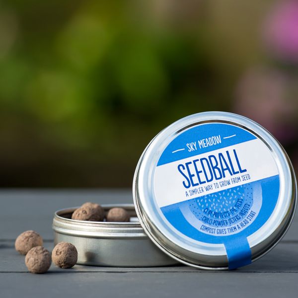 Sky Meadow Seedball Tin