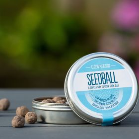 Cloud Meadow Seedball Tin