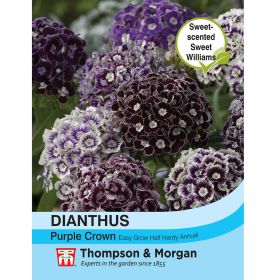 Dianthus Purple Crown Seeds