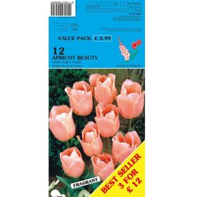 Tulips Early Apricot Beauty - 12 Bulbs