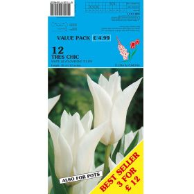 Tulips Tres Chic - 12 Bulbs