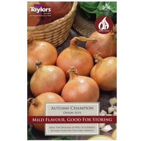 Autumn Champion - Onion Set - 50 Onions