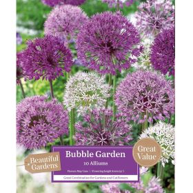 Alliums Bubble Garden - 10 Bulbs