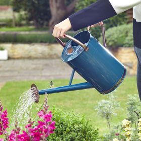 Watering Can 9 Litre - Blue