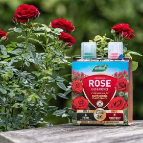 Rose 2 In 1 Feed & Protect