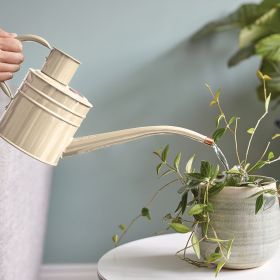 Home & Balcony Watering Can 1 Litre - Ivory