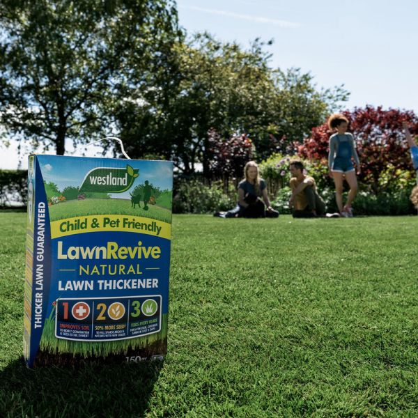 Westland Lawn Revive - Natural Lawn Thickener 150m²
