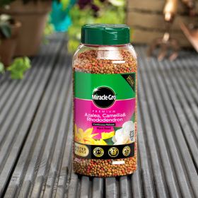 Miracle-Gro Premium Ericaceous Continuous Release Plant Food 900g