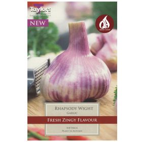 Rhapsody Wight - Garlic Set - 1 Bulb
