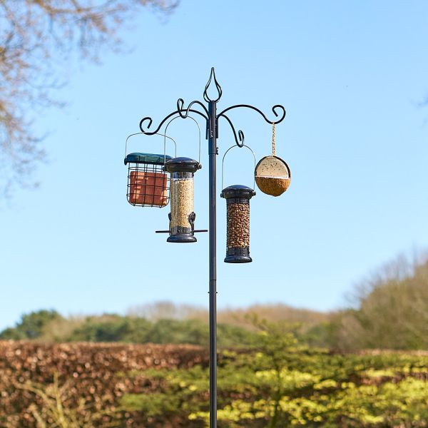 Banquet Bird Feeding Station