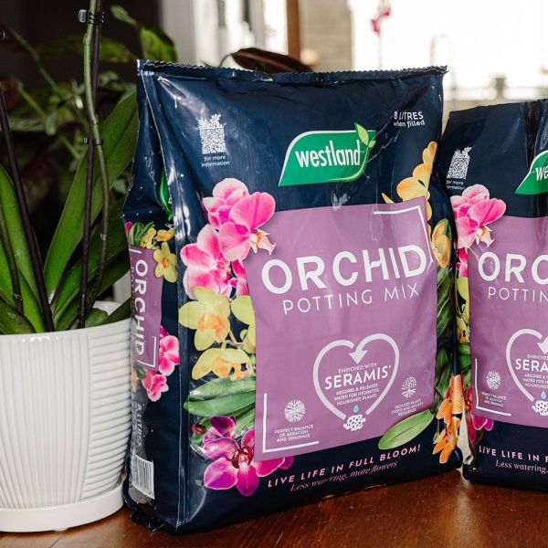 Orchid Potting Mix - Peat Free 8 Litres