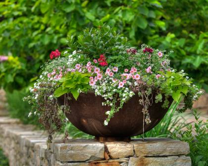 Pots & Containers | Squire's Garden Centres