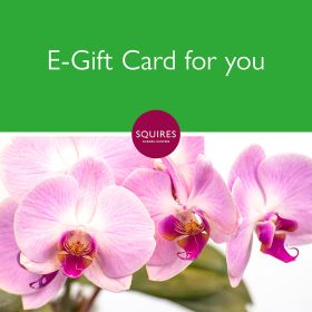 Squire's E-Gift Card - Orchid