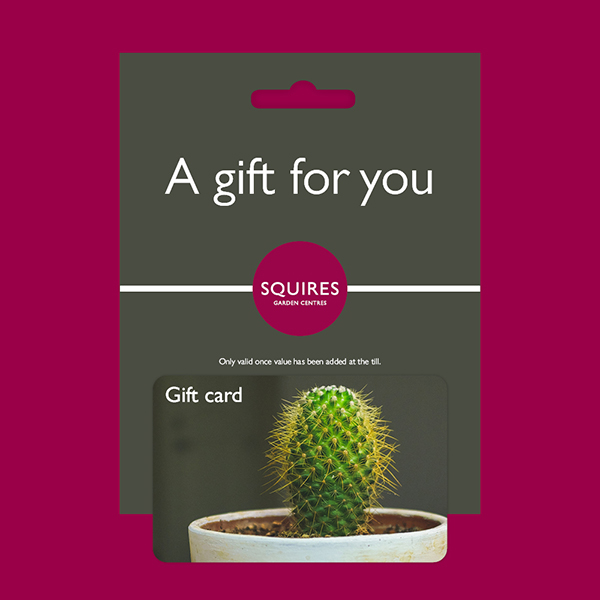 Squire's Gift Card - Cactus