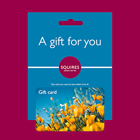 Squire's Gift Card - Flowers