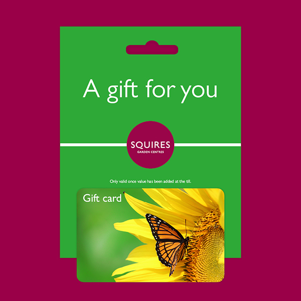 Squire's Gift Card - Butterfly