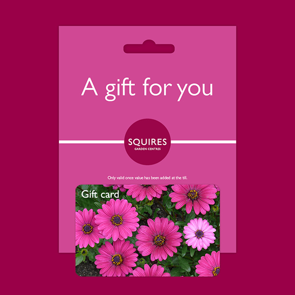 Squire's Gift Card - Pink Daisy