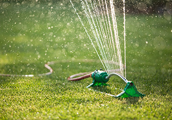 An oscillating lawn sprinkler watering a lawn in summer