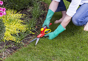 A gardener using lawn shears to neatly trim a lawn edge after mowing