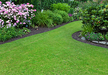 A finely manicured and lush looking grass lawn flanked by borders with lovely shrubs, flowers and ornamental grasses