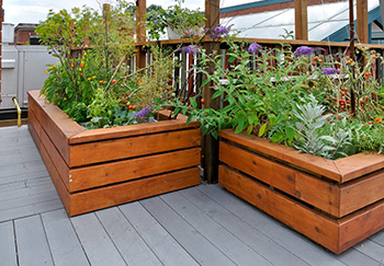 Raised flower beds in a garden placed on decking