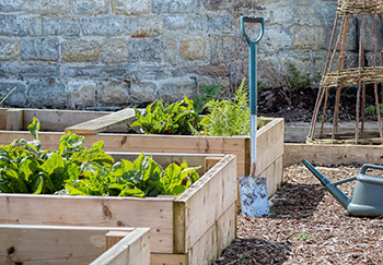 Raised beds need to be strong to take the pressure and weight of the soil once filled
