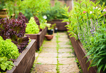 Raised beds can create a different kind of garden and offer options with landscaping, also removing the restrictions of local soil type or conditions