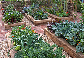 Six rectangular wooden sleeper raised beds with different varieties of plants and flowers in each