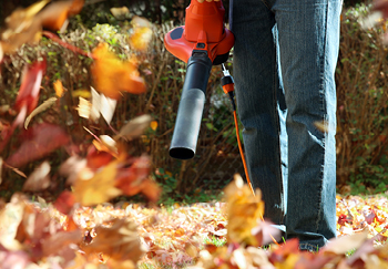 A gardener using a leaf blower to clear a dense covering of leaves from a lawn