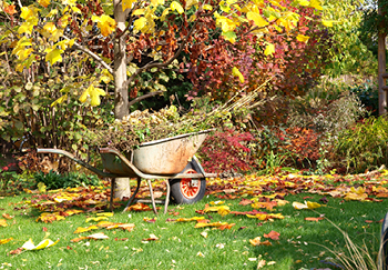 A wheelbarrow is an essential tool for autumn gardening tidying and clearing