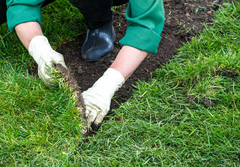How to lay turf evenly