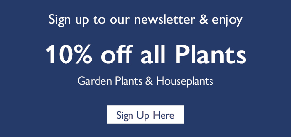 newsletter sign up: save 10% off all plants