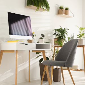 Houseplant Ideas for Home Office